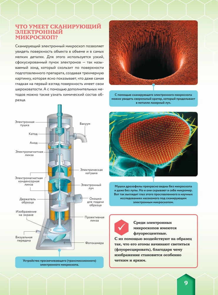 Microworld